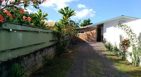 Jambolana Studio - Image 3