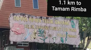 Tony’s Guesthouse at Teluk Bahang - Image 3