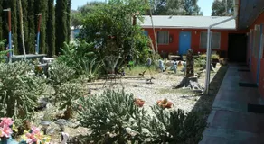 Safari Motor Inn - Joshua Tree - Image 5
