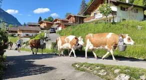 B&B Le Chalet - Image 5