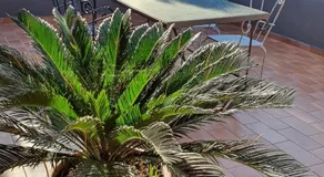 Bed & Breakfast Neapolis - Image 5
