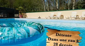 Logement insolite "Bubble jungle" - Image 5