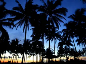 The Acacia Hotel Anyer - Image 4