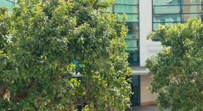 Apartamentos Océanos - Image 4