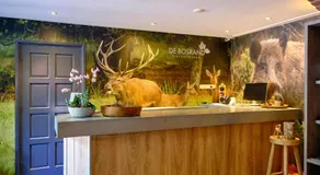 Vakantiepark de Bosrand - Image 3