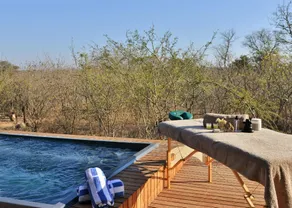 Mjejane Bush Camp - Image 5
