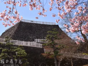 Shironohotel Kofu - Image 3