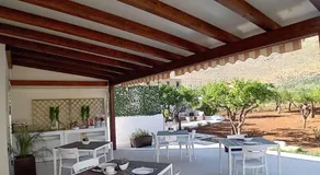 Olea - Image 5