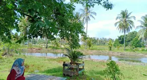 Homestay Umar - Image 4