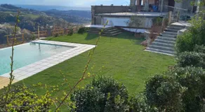 Radice Verde - Image 4