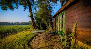 Doevelsteeg Ommen - Image 3