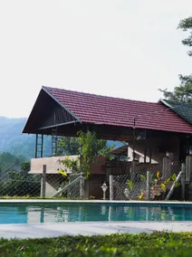 The Rain Tree resort - Image 4