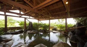 Kurasako Onsen Sakura - Image 5