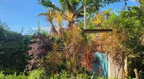 Hospedagem Lagoinha - Image 3