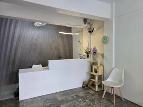 SRINN House, Bangkok - Image 4