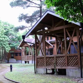 Amami Forest Police - Image 4