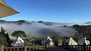 DaLart Glamping & Coffee - Image 3