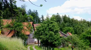 Urlaubs(t)raum - Image 5