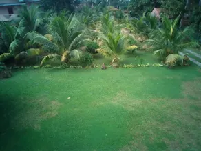 NegomboVilla - Image 3