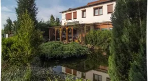 Pension Zum Schwanenteich - Image 3