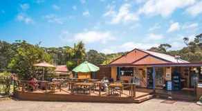Durras Lake North Holiday Park - Image 5