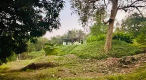 The Lookout, Hilltop Cottage - Image 5