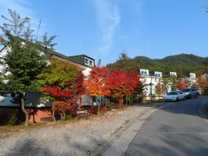 Pyeongchang Hyundai Resort - Image 5