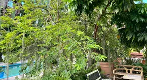 Orchid Cottage - Image 4