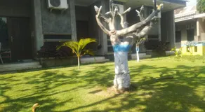 Merapi Indah Hostel - Image 3