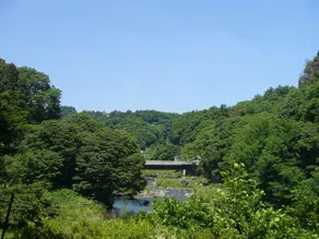 Aokiso - Image 5