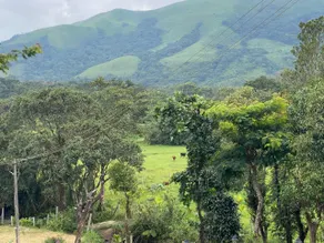 Nysiri Valley Plantation Retreat Near Devaramane, Mudigere - Image 3