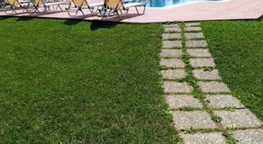 Villa Dimitris - Image 5