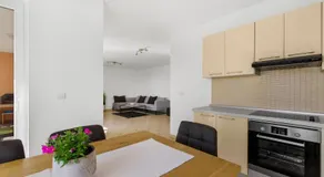Apartment Giulia with Sea View in Novigrad - Image 2