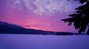 Blueberry House - Image 5