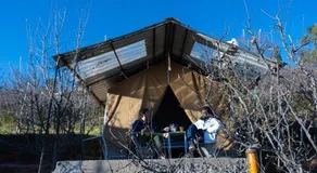 Nomad Eco Retreat - Image 4