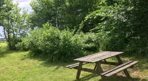 Skovhuset - Image 5