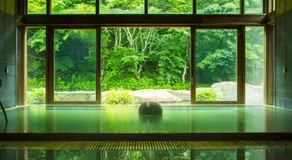 BEB5 Karuizawa by Hoshino Resorts - Image 5