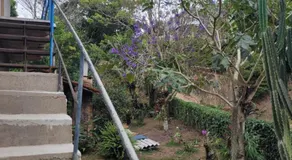 Sítio Guanabara - Image 2