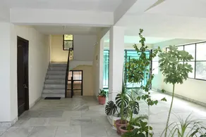 Stunning Views, Jujurana Homestay Shoghi - 3 Private Apartments Near Simla - Image 4