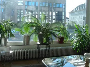 Hotel Solinger Hof - Image 3