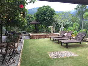 Beautiful forest view/fresh air/relax environment - Image 5
