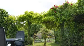 Home sweet home - Image 4
