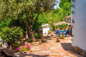 Cinco Lunas VEGETARIAN Retreat Oasis - Image 4