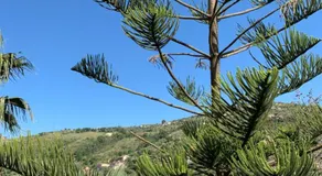 La Locanda di Campagna - Image 4