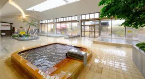 Sagayamato Onsen Hotel Amandi - Image 3