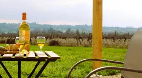 Clair de Vigne - Image 4