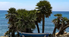 MedApartment Sanremo - Image 5