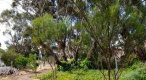 Cape Jervis Holiday Units - Image 5