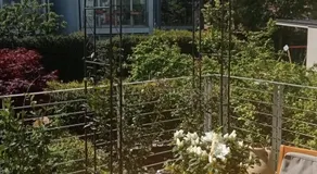 B&B Grace - Image 5