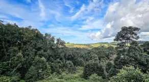 Byron Bay Hinterlands - Dreaming Woods Studio - Image 5